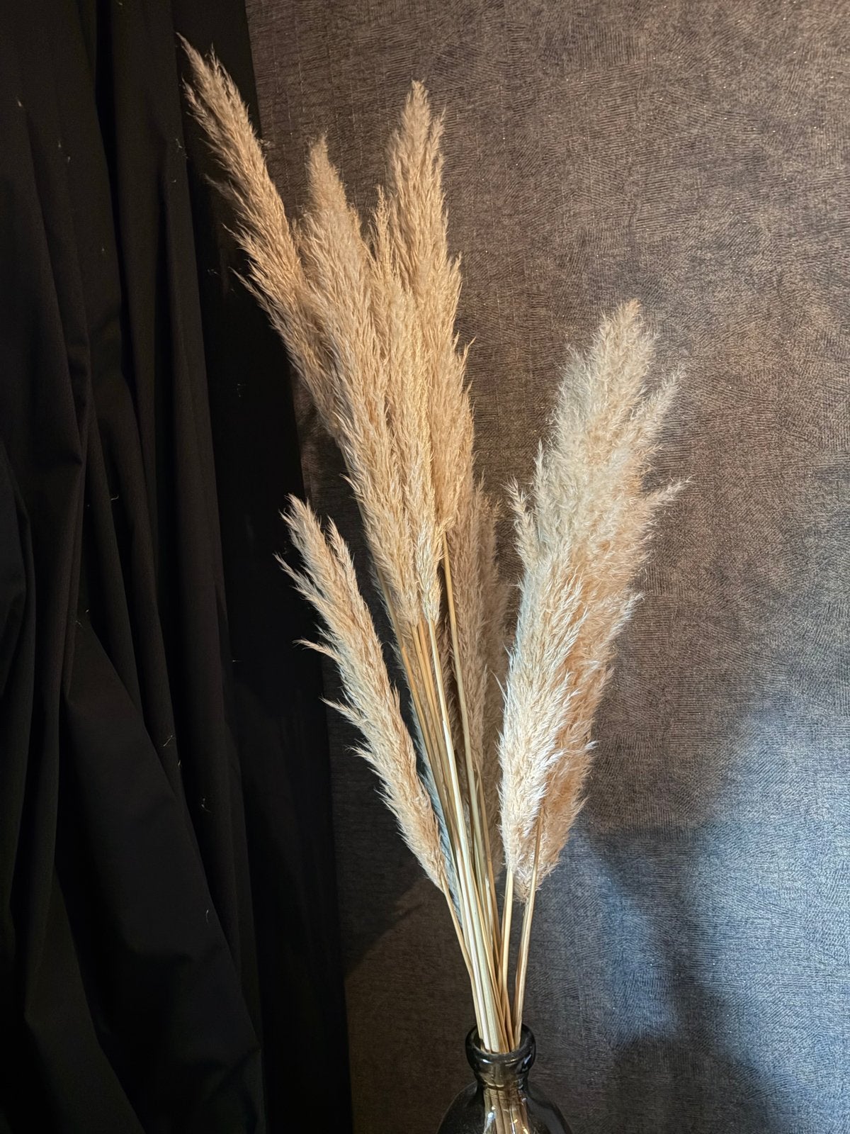 Grote bos pampaspluimen - naturel & crème, Ophalen, Meerkleurig, Nieuw, Landelijk