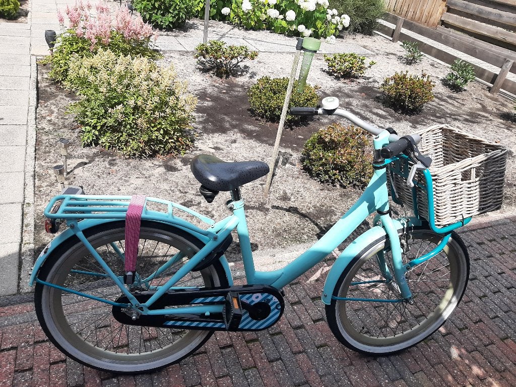 4 x Prachtige Meidenfietsen 1 x 22 inch en 3 x 20 inch, Ophalen, Terugtraprem, 20 inch, Handrem