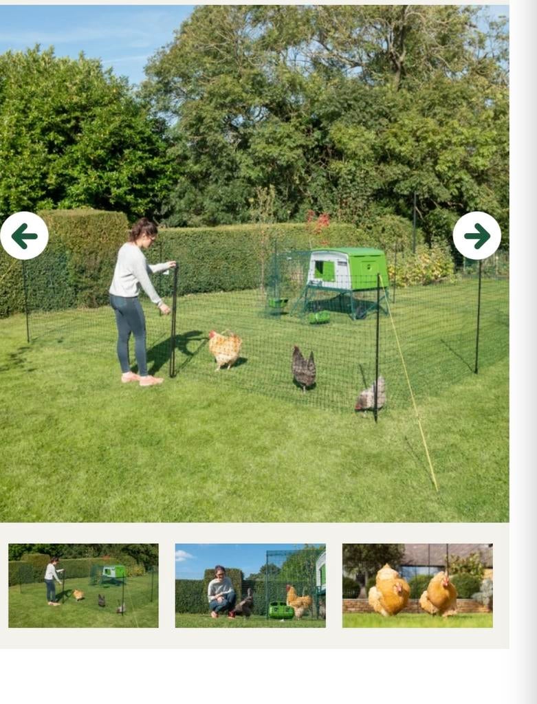 Kippenren omheining kunsstof 55m! 1.30 hoog, Dieren en Toebehoren, Pluimvee | Toebehoren, Ophalen of Verzenden, Kippenhok of Kippenren