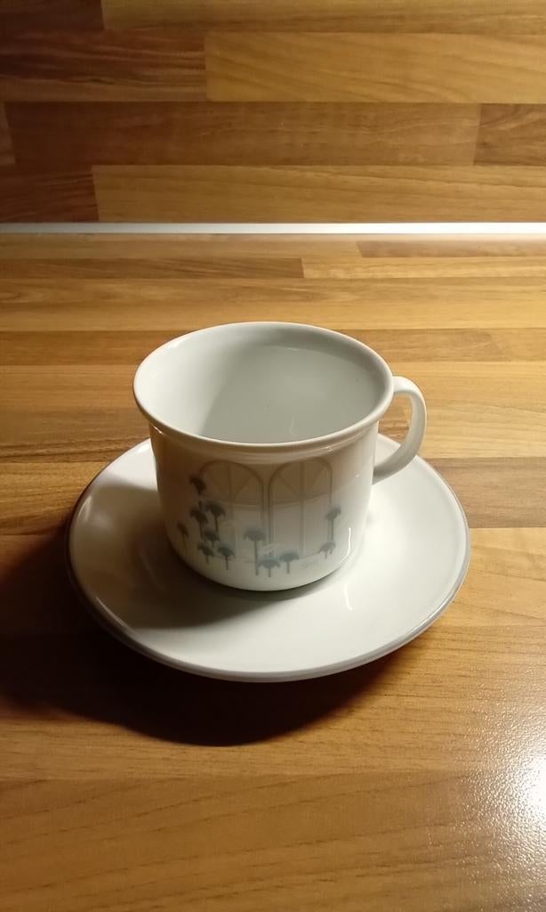 Kop en schotel, Ophalen of Verzenden, Zo goed als nieuw, Porselein, Kop en/of schotel