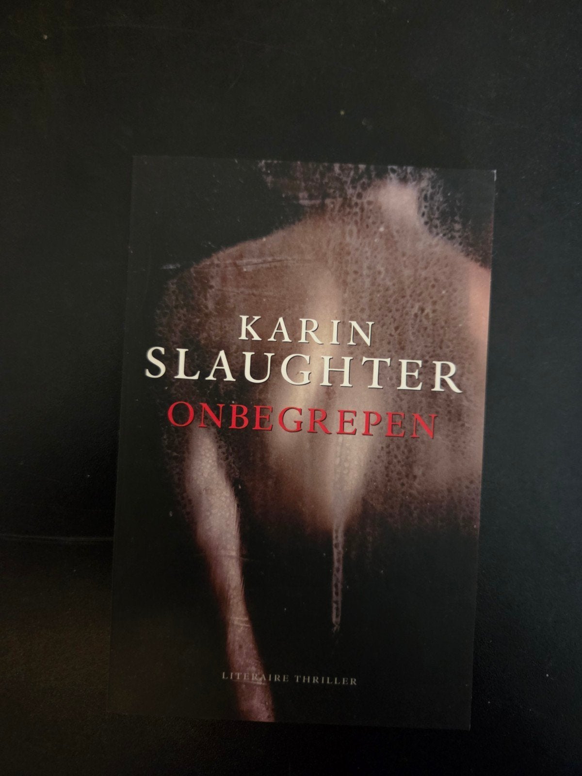 Karin Slaughter onbegrepen, Ophalen of Verzenden, Gelezen, Karin Slaughter