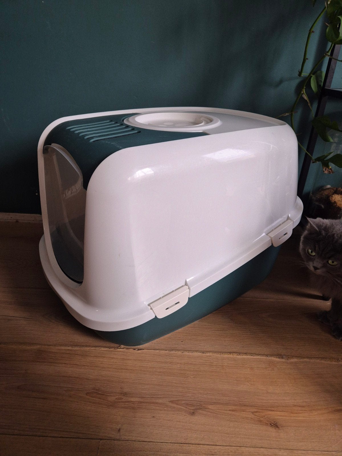 Kattenbak Savic type Nestor Jumbo, Dieren en Toebehoren, Kattenbakken, Gebruikt, Ophalen
