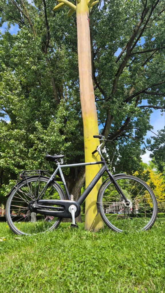Gazelle Esprit C3 Herenfiets - 61cm - In good condition, Fietsen en Brommers, Fietsen | Heren | Herenfietsen, Versnellingen, Ophalen of Verzenden