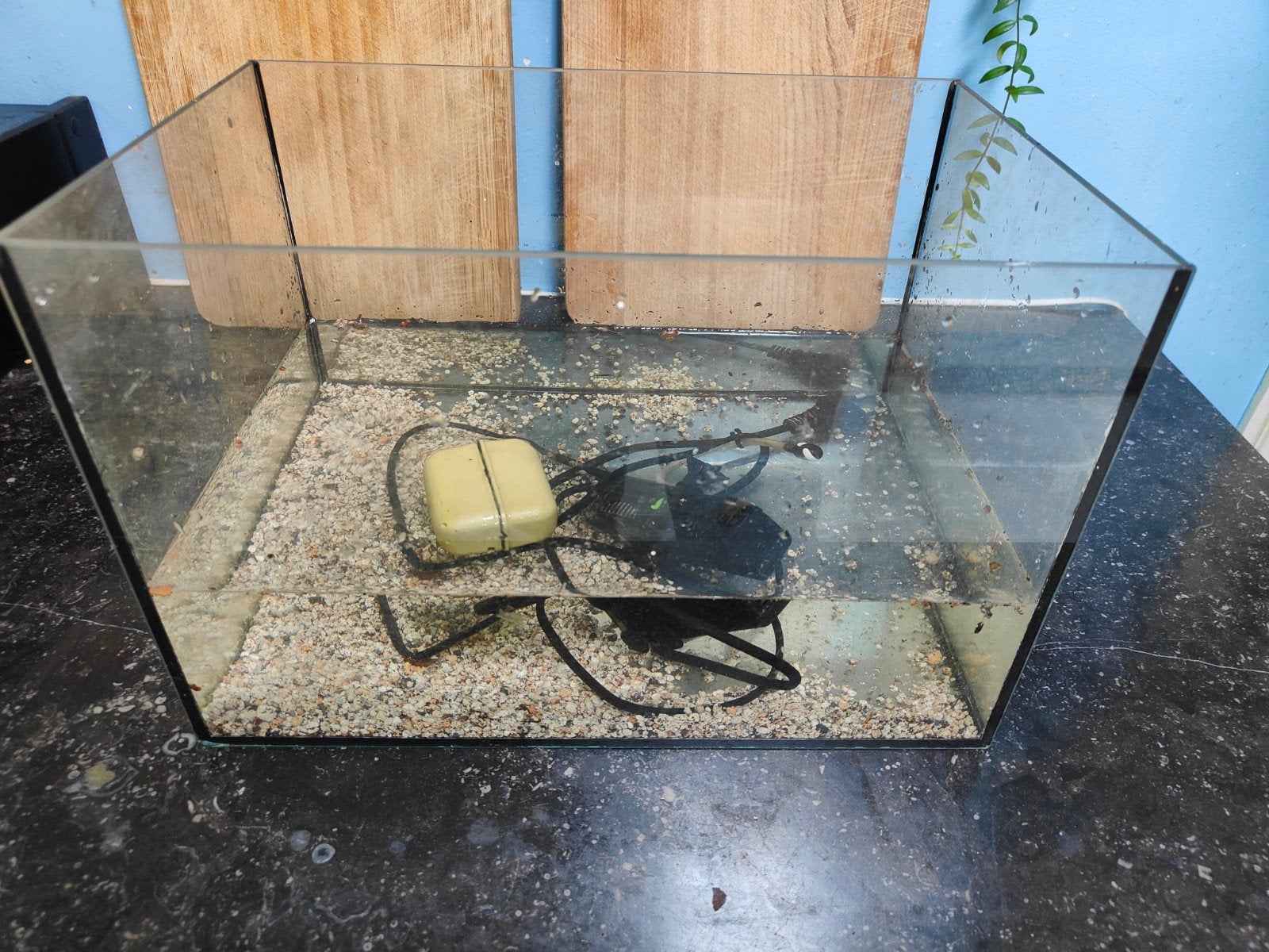 Aquarium met pompje en schoonmaak magneet, Ophalen of Verzenden, Leeg aquarium
