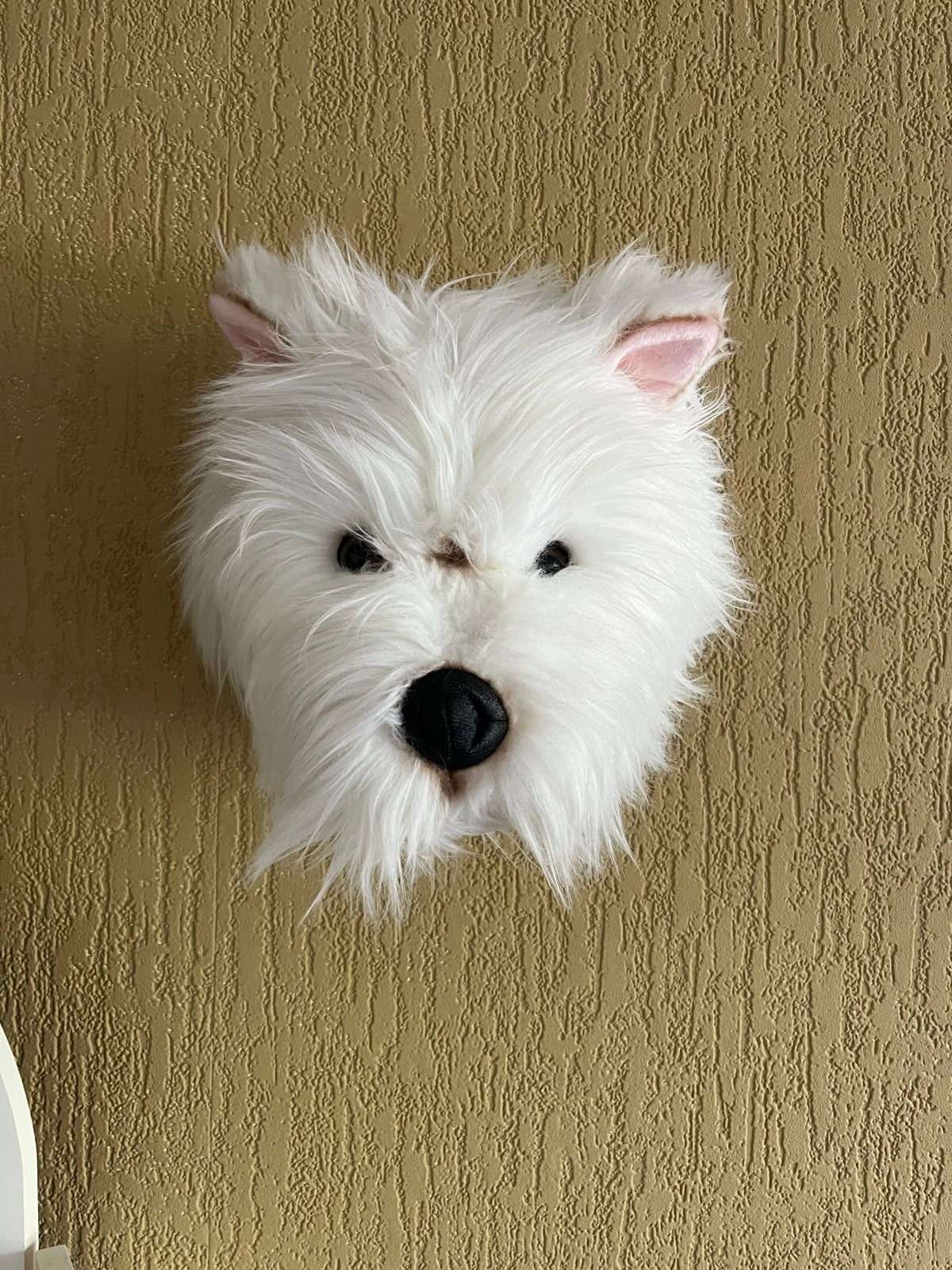 West Highland White Terriër Pluche Wanddecoratie, Ophalen of Verzenden, Zo goed als nieuw, Hond of Kat, Opgezet dier