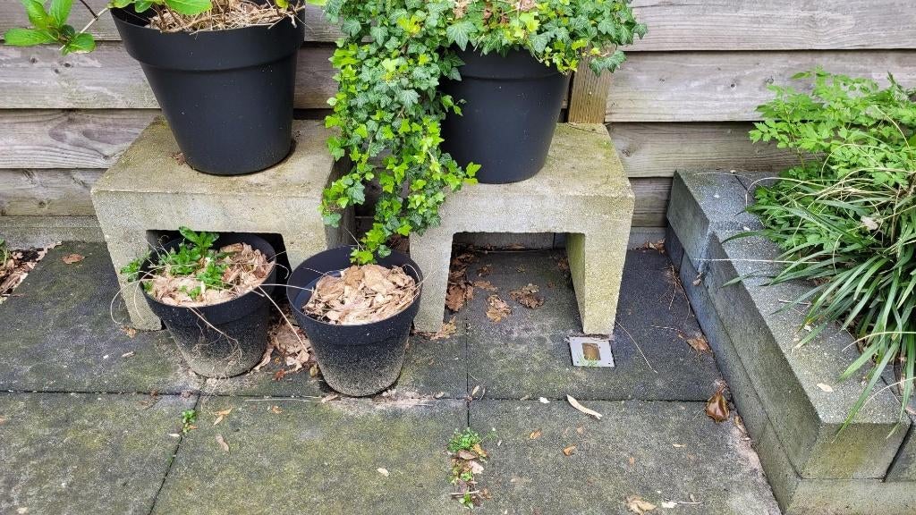 Betonnen U elementen, Tuin en Terras, Tegels en Klinkers, Ophalen, Gebruikt, Overige typen, Minder dan 5 m²