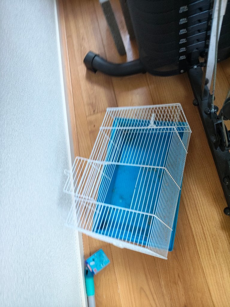 Hamsterkooi, Minder dan 60 cm, Kooi, Minder dan 75 cm, Ophalen of Verzenden
