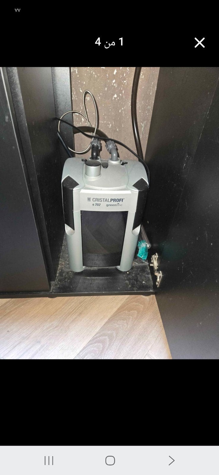 Aquarium met 5 Discusvissen, Ophalen of Verzenden