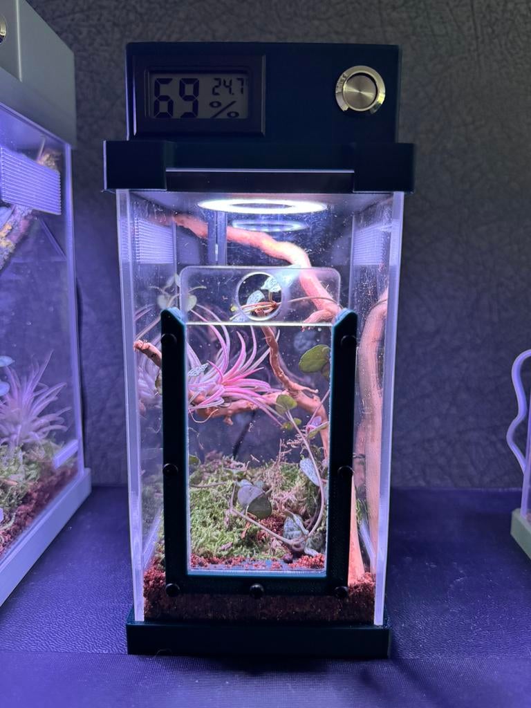 Handgemaakt Springspin Terrarium met LED  Nieuw! (Klein), Dieren en Toebehoren, Insecten en Spinnen, Overige soorten