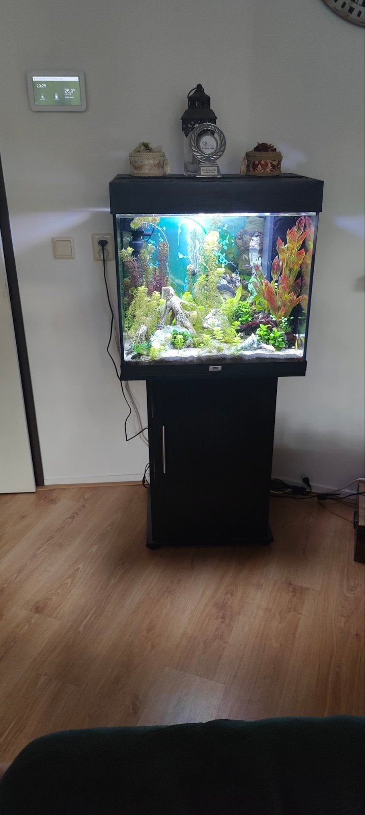 Juwel Lido 120 inc HVP led verlichting, Ophalen, Gebruikt, Gevuld zoetwateraquarium, Inclusief toebehoren