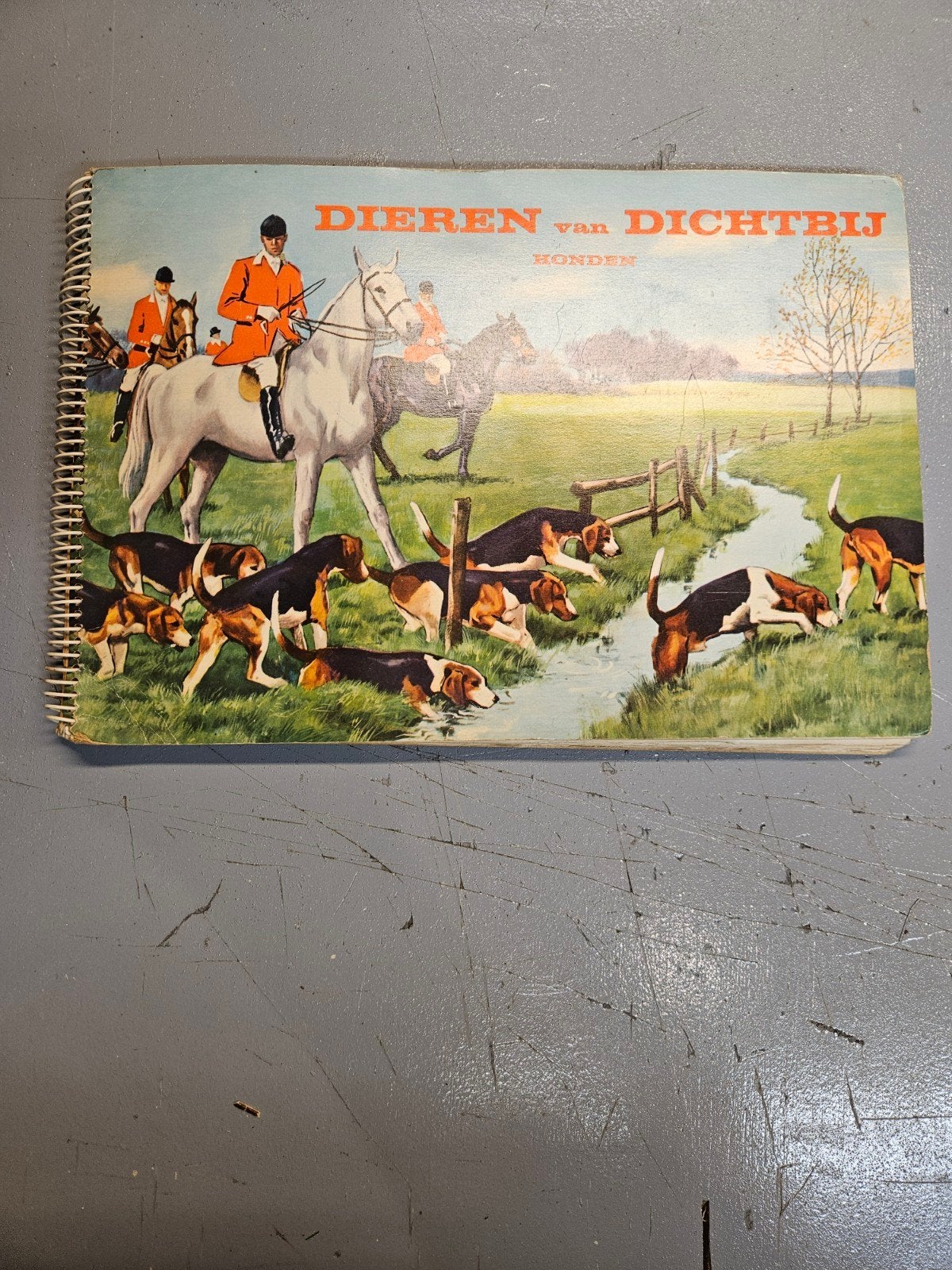 Dieren van Dichtbij - Honden Plaatjesalbum (Vintage), Boeken, Ophalen of Verzenden, Gelezen, Onbekend, Plaatjesalbum