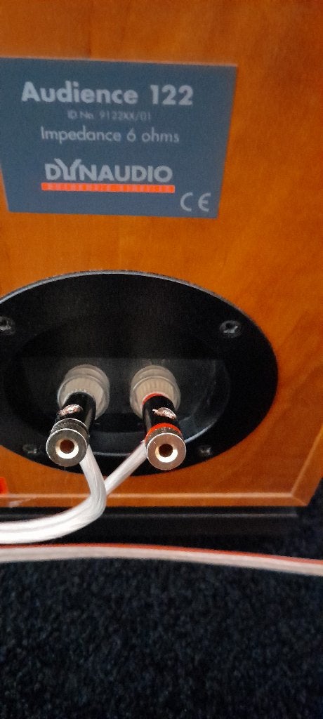 Dynaudio Audience 122, Audio, Tv en Foto, Ophalen, Gebruikt, Vloerstaande luidspreker, Overige merken