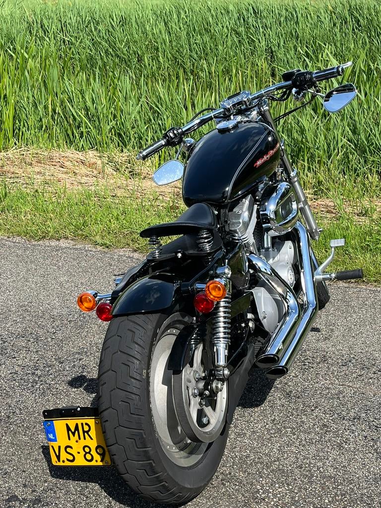 Harley Davidson 883, Motoren, Particulier, Chopper