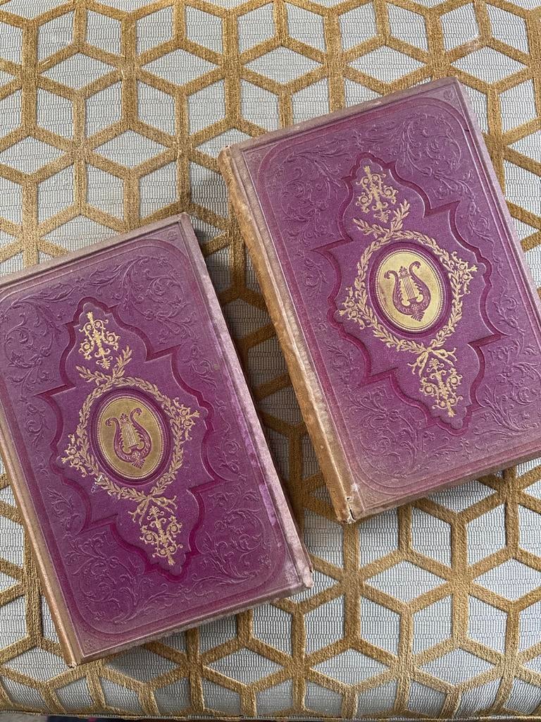 De Dichtwerken van P.A. de Génestet (1869) - Deel 1 & 2, Antiek en Kunst, Ophalen of Verzenden