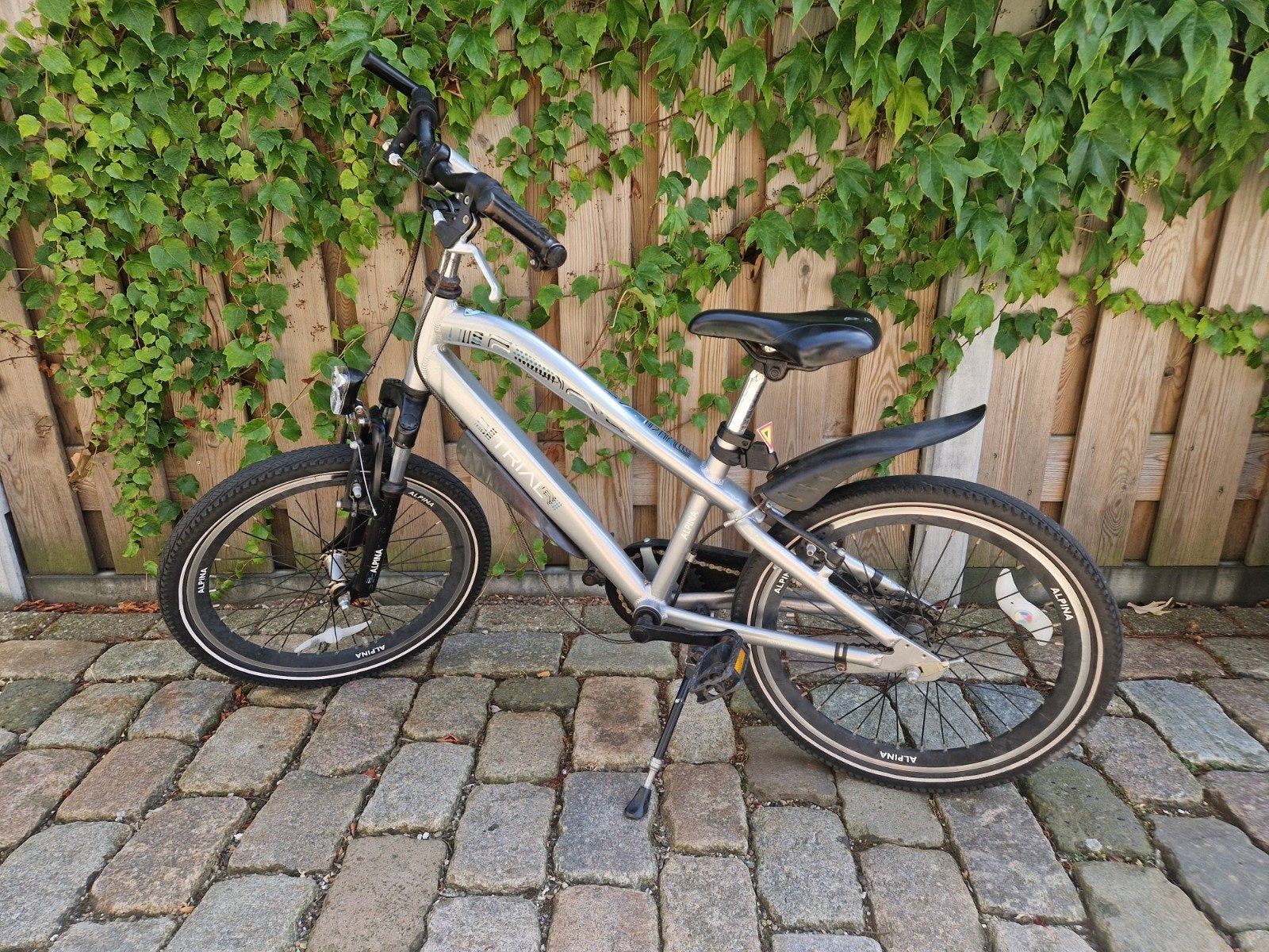 Alpina Trial 20 inch kinderfiets, Ophalen, Gebruikt, 20 inch of meer, Alpina