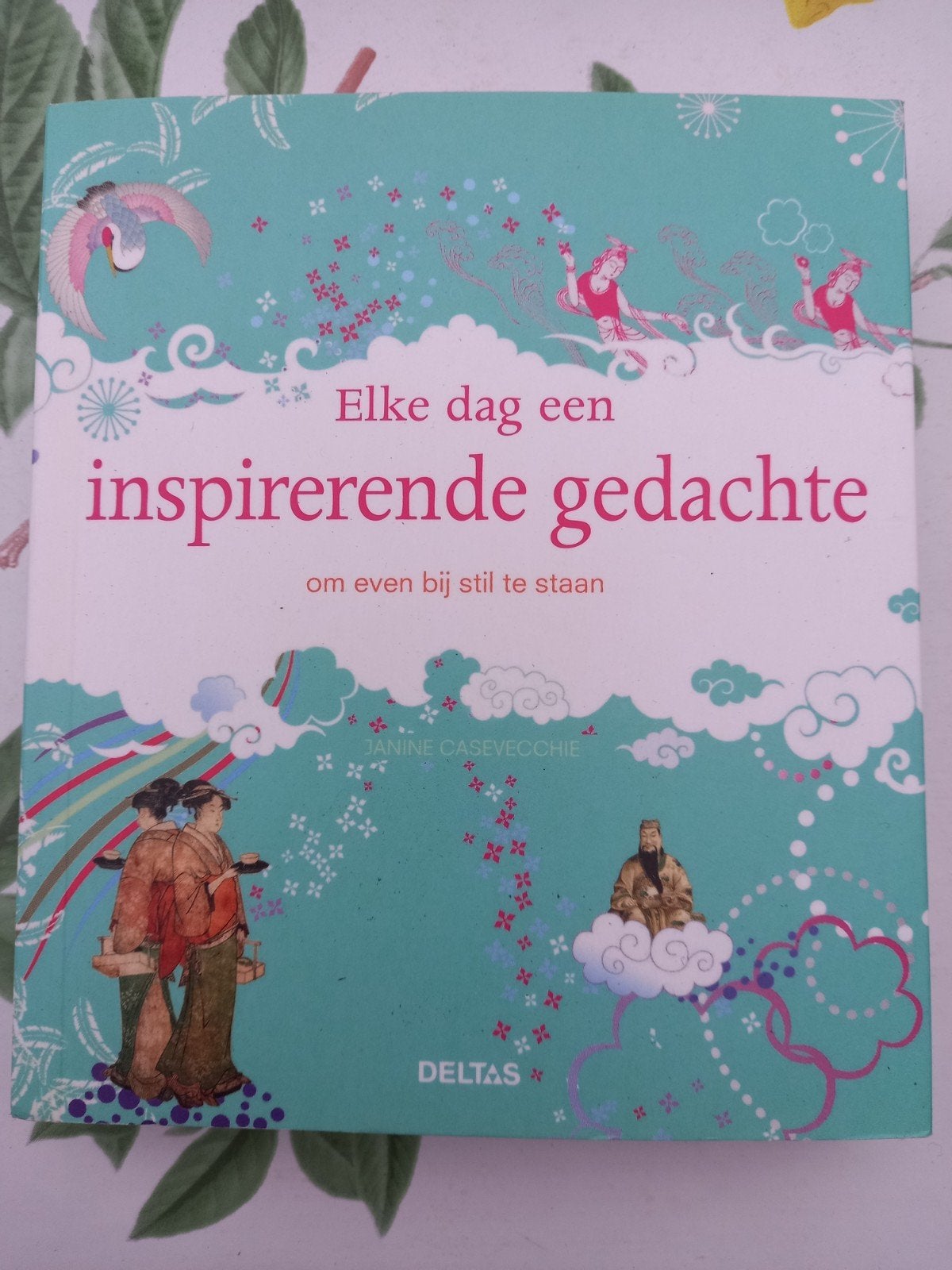 M13 JANINE CASEVECCHIE - Elke dag een inspirerende gedachte, Boeken, Ophalen of Verzenden, Zo goed als nieuw, JANINE CASEVECCHIE