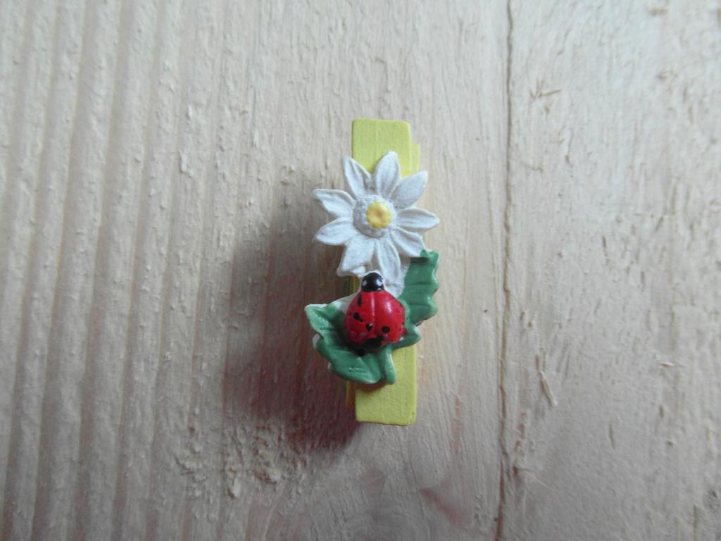 Decoratieve mini knijpertjes € 0.05 per stuk, Ophalen, Nieuw, Overige thema's, Overige typen
