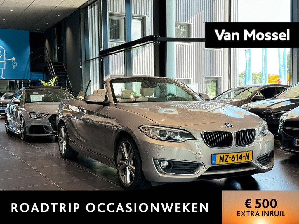 BMW 2-serie Cabrio 220i High Executive | Cabriolet | HiFi Sy, Auto's, BMW, Bedrijf, Te koop, 2-Serie, ABS, Airbags, Airconditioning