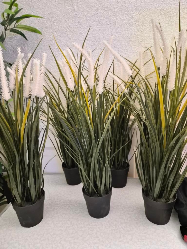 6 Nieuwe IKEA Fejka  kunstplanten met Witte Pluimen, Ophalen of Verzenden, Nieuw, Binnen