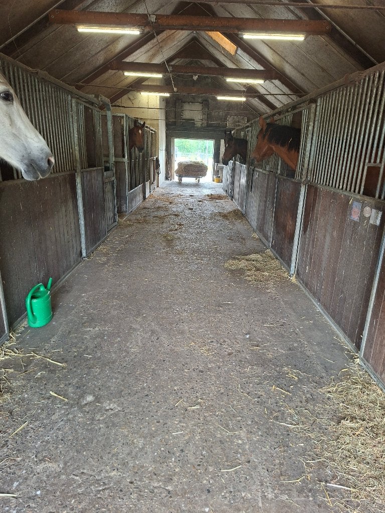 paardenboxen   VERKOCHT, Stalling, 4 paarden of pony's of meer