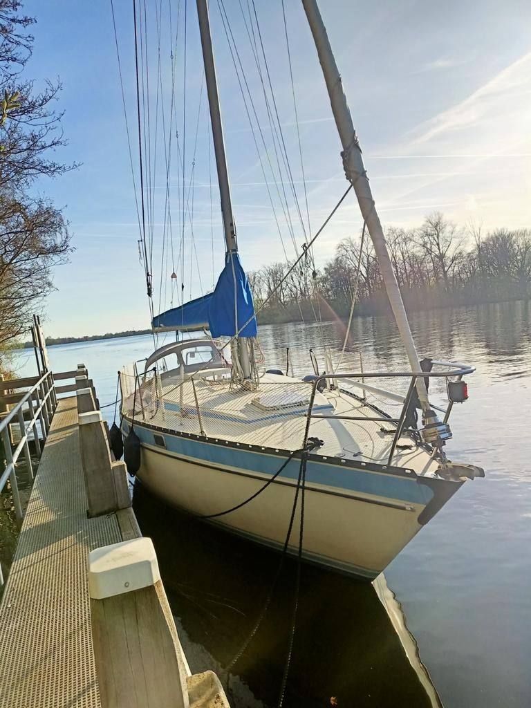 Phantom 32 mooi ruim compleet zeiljacht, Gebruikt, 50 pk of meer, Diesel, Ophalen of Verzenden