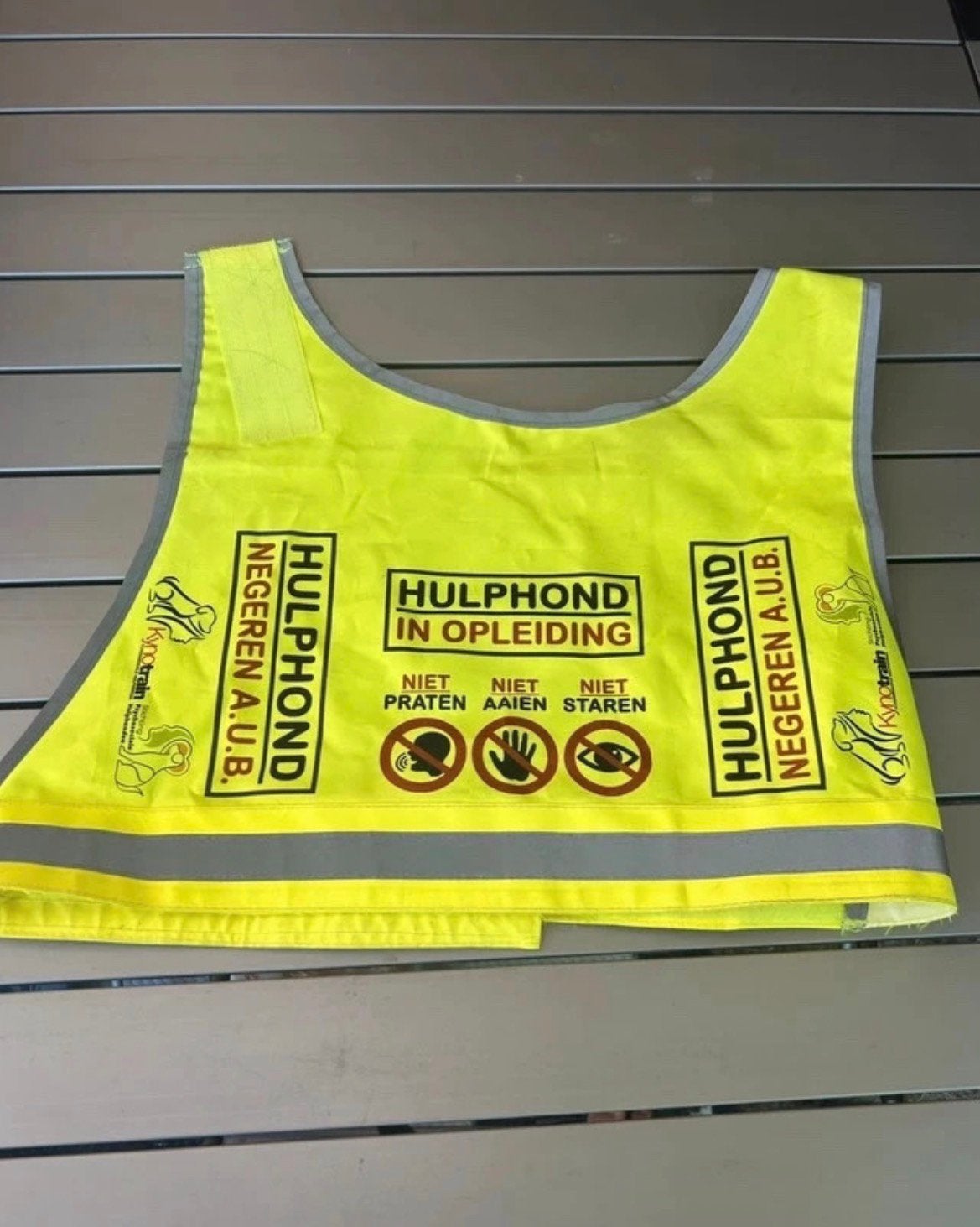 Kynotrain hulphond hesje, Ophalen of Verzenden, Zo goed als nieuw