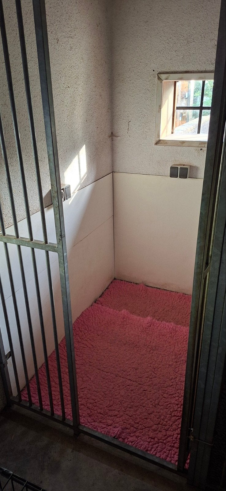BINNEN KENNELS. 4 X, Dieren en Toebehoren, Ophalen of Verzenden, Minder dan 75 cm, 100 cm of meer