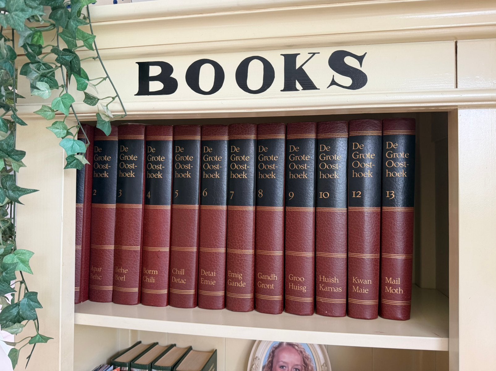 GRATIS Grote Oosthoek Encyclopedie 20 delen, Ophalen, Gelezen, Algemeen