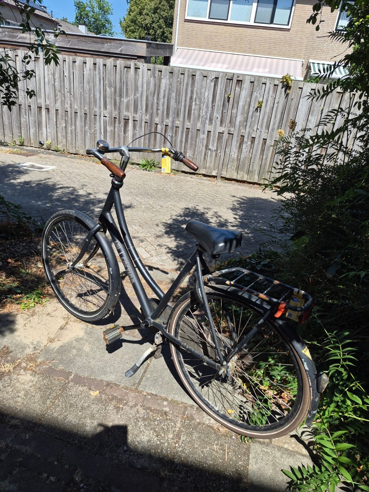 Cortina dames fiets, Terugtraprem, Ophalen, Overige merken, 53 tot 56 cm
