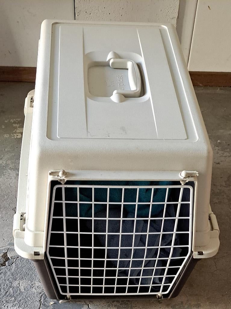 Honden bench, Dieren en Toebehoren, Ophalen of Verzenden, Zo goed als nieuw