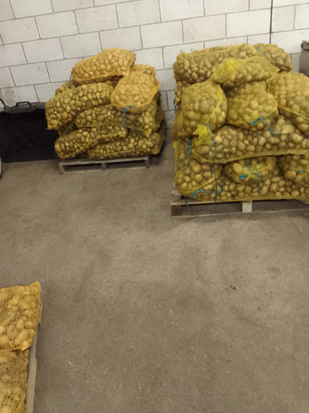 Biologische aardappelen: Frieslanders en Dore, mooi gezondf, Ophalen of Verzenden