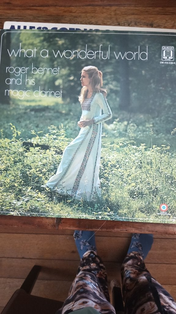 weer een aantal lp's te koop, Inclusief binnenhoes, Ophalen, Gebruikt, Overige formaten