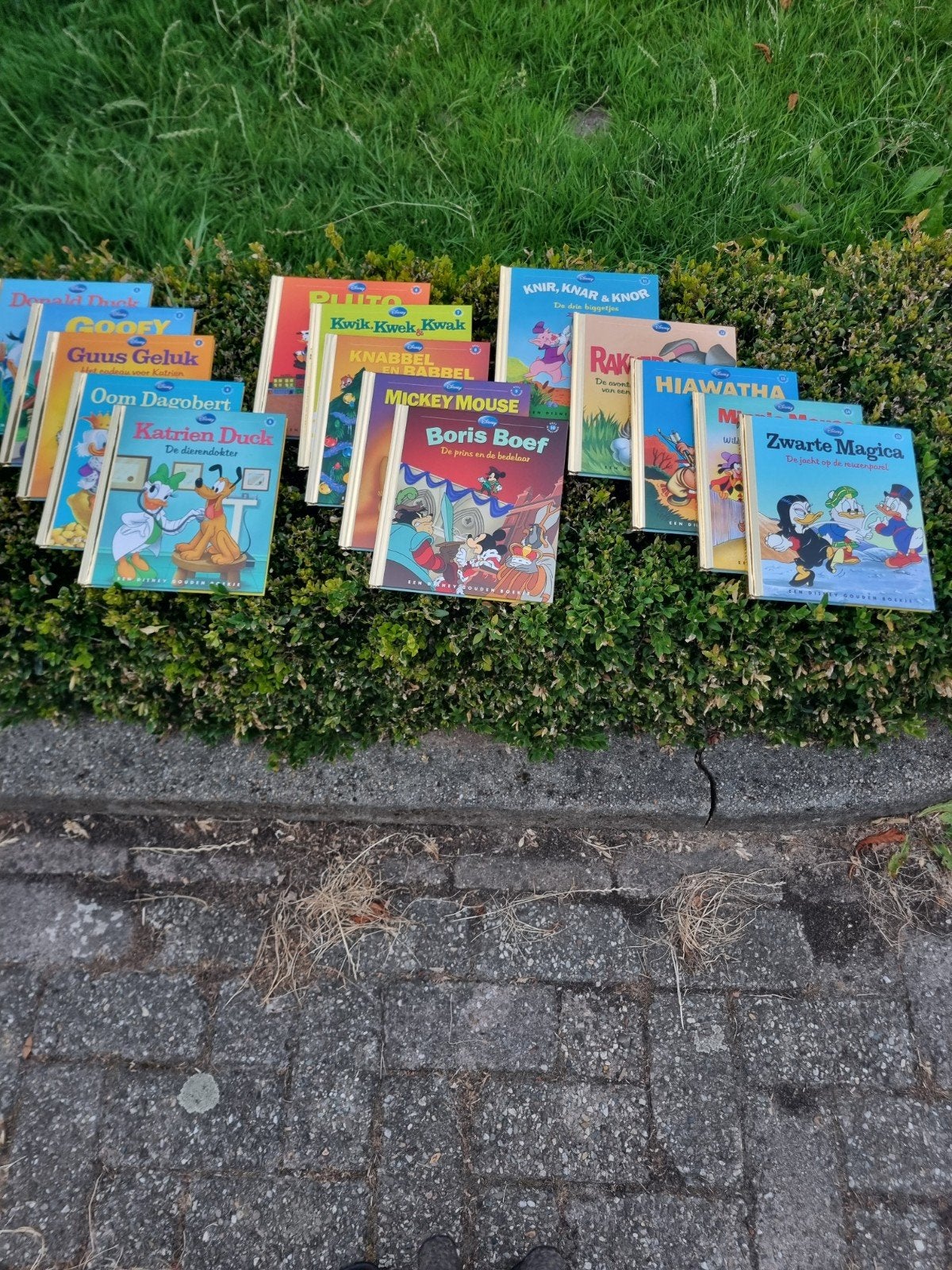 Disney Gouden Boekjes Collectie - 15 delen, Ophalen, Zo goed als nieuw, Walt Disney, Fictie