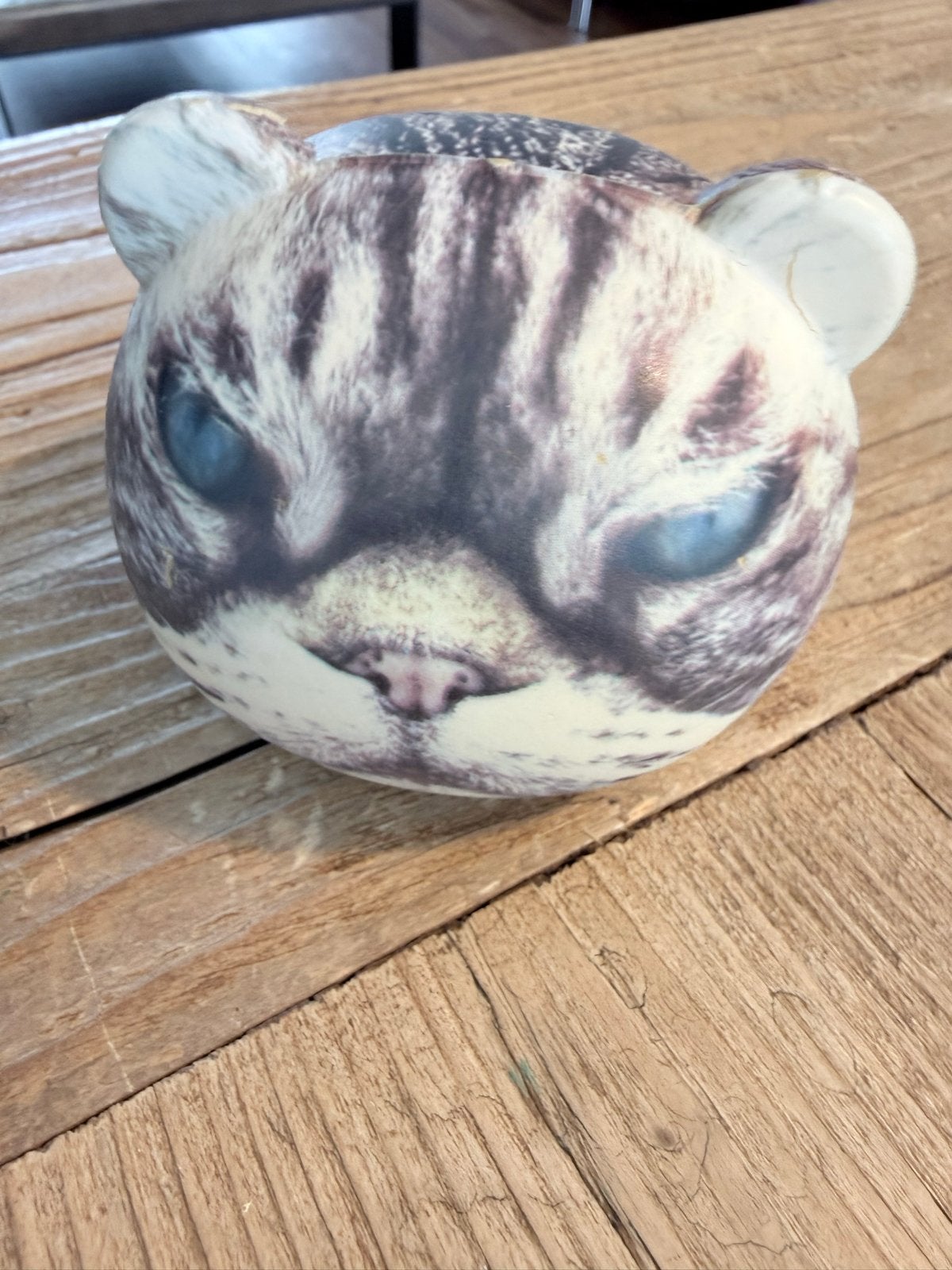 Kikkerland Kat Stressbal - Ontspanning en Plezier, Ophalen, Meerkleurig, Overige stijlen, Kunststof