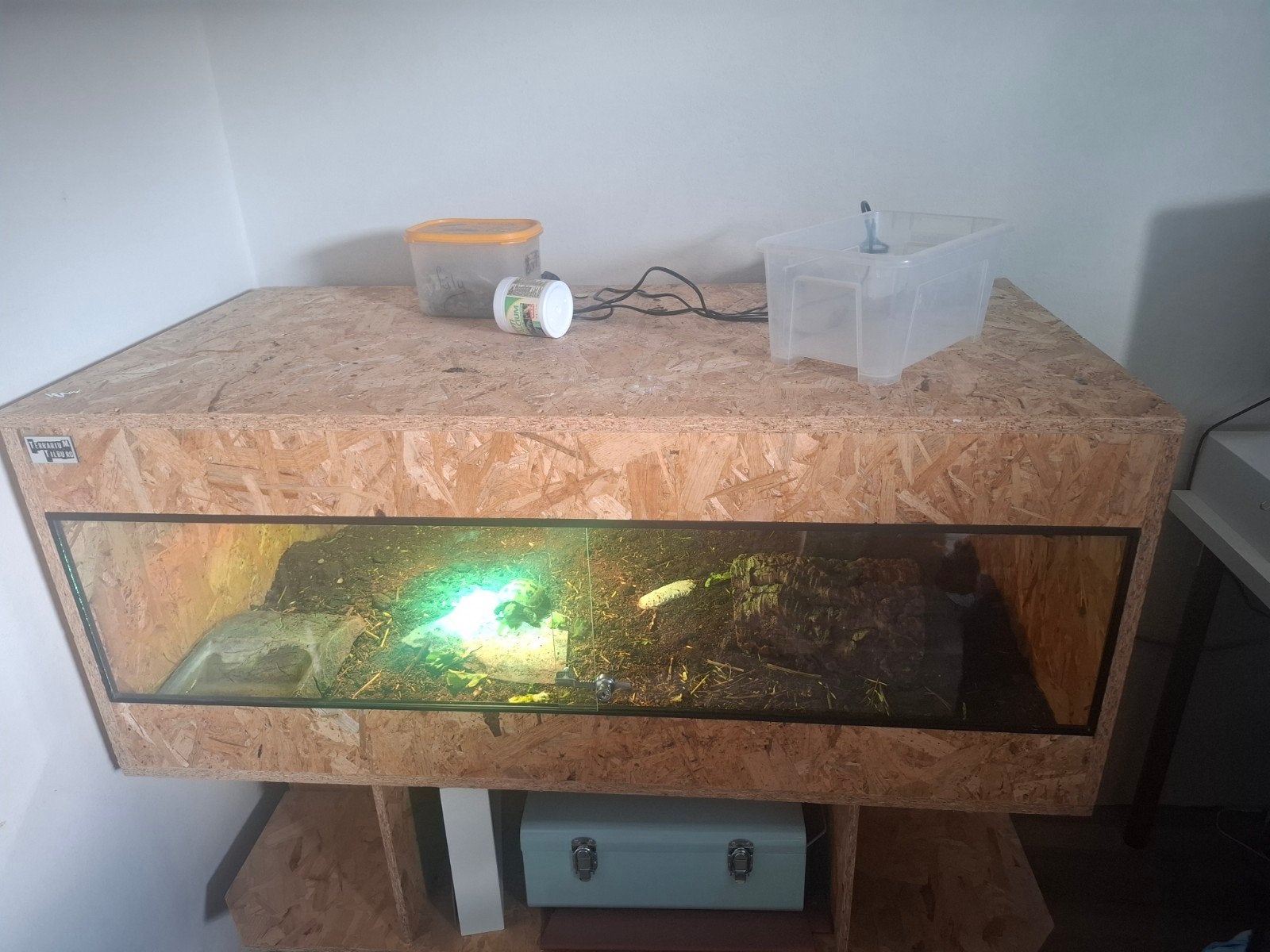 groot terrarium met schildpadden, Ophalen