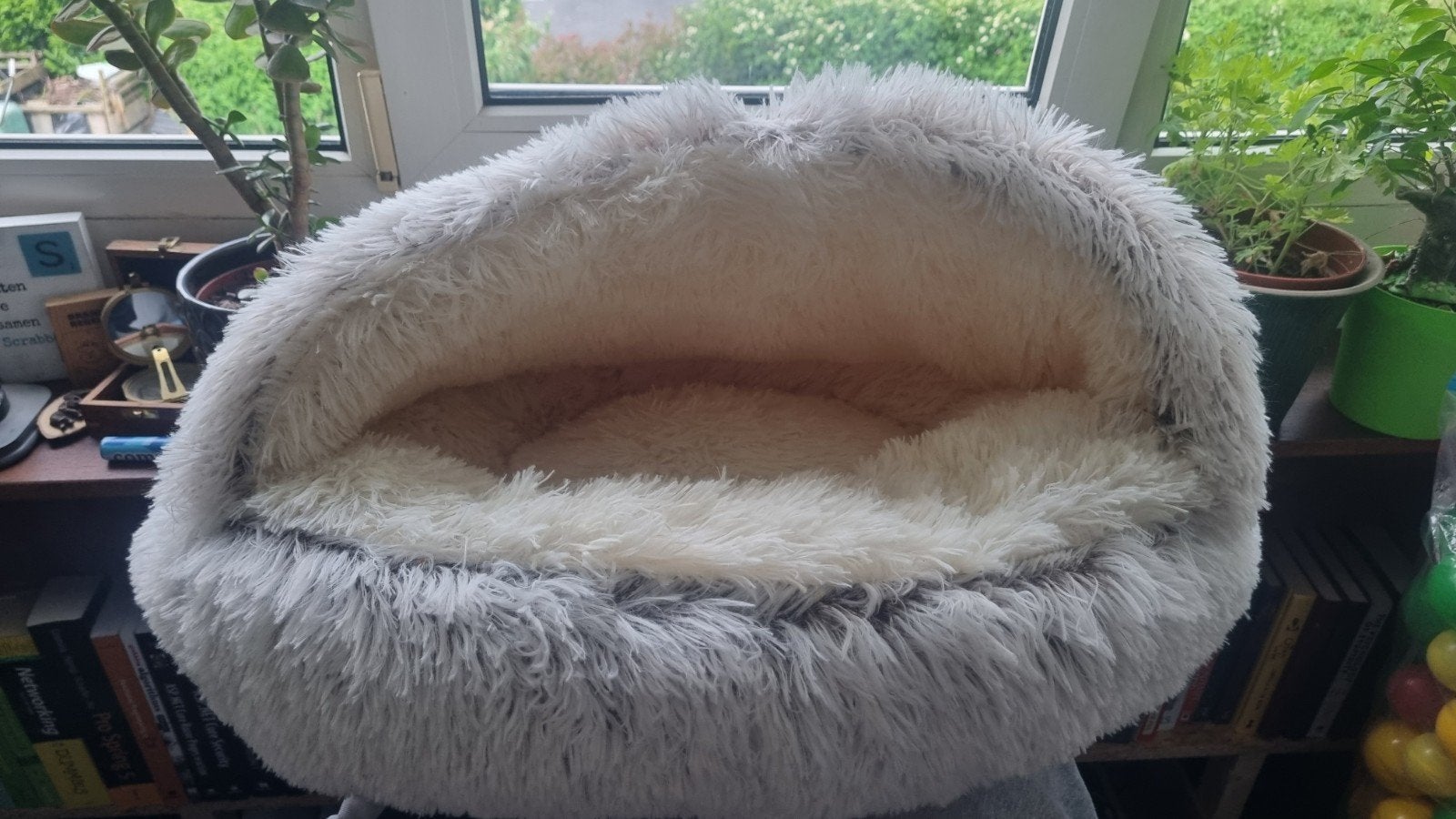 Kattenmand - uitwasbaar, Ophalen of Verzenden, Nieuw, Polyester