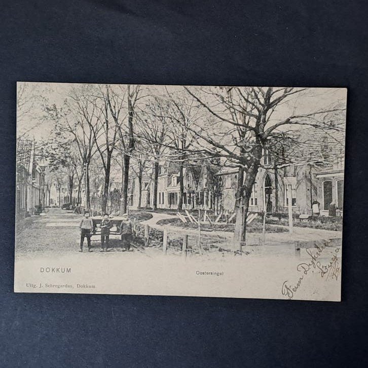 Dokkum Friesland Volk op de Oostersingel 1905, Ophalen of Verzenden, Voor 1920, Gelopen, Friesland