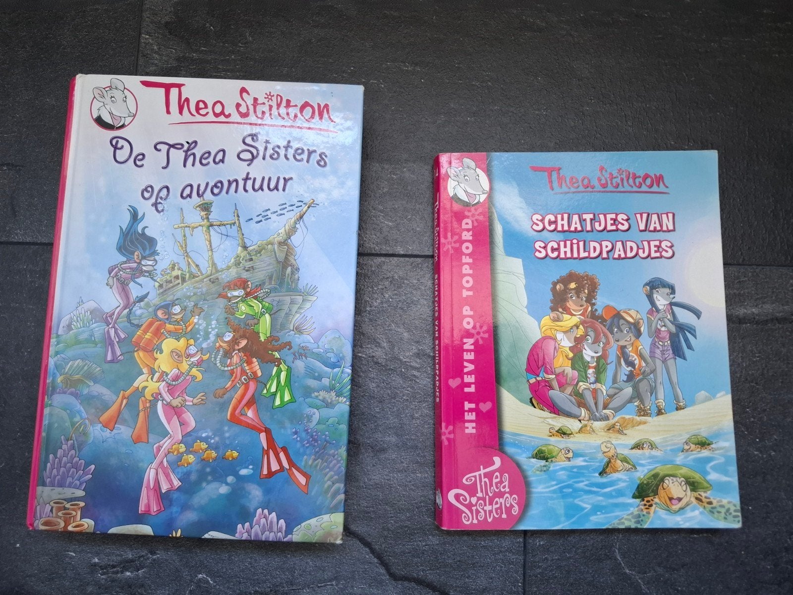 2 Thea Sisters boeken, Boeken, Ophalen of Verzenden, Gelezen, Thea Stilton, Fictie