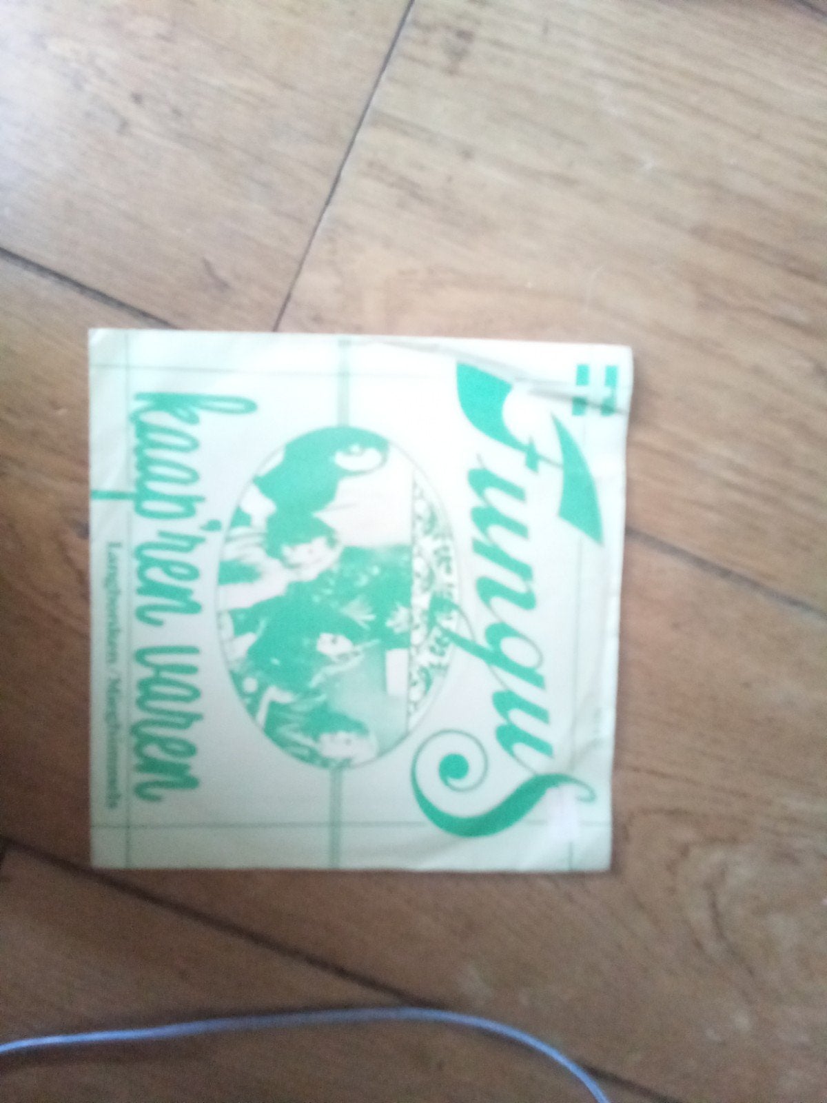 Fungus - Kaap'ren Varen / Langboorden / Mieghimmels (7 inch), Cd's en Dvd's, Gebruikt, 7 inch, Ophalen of Verzenden, EP