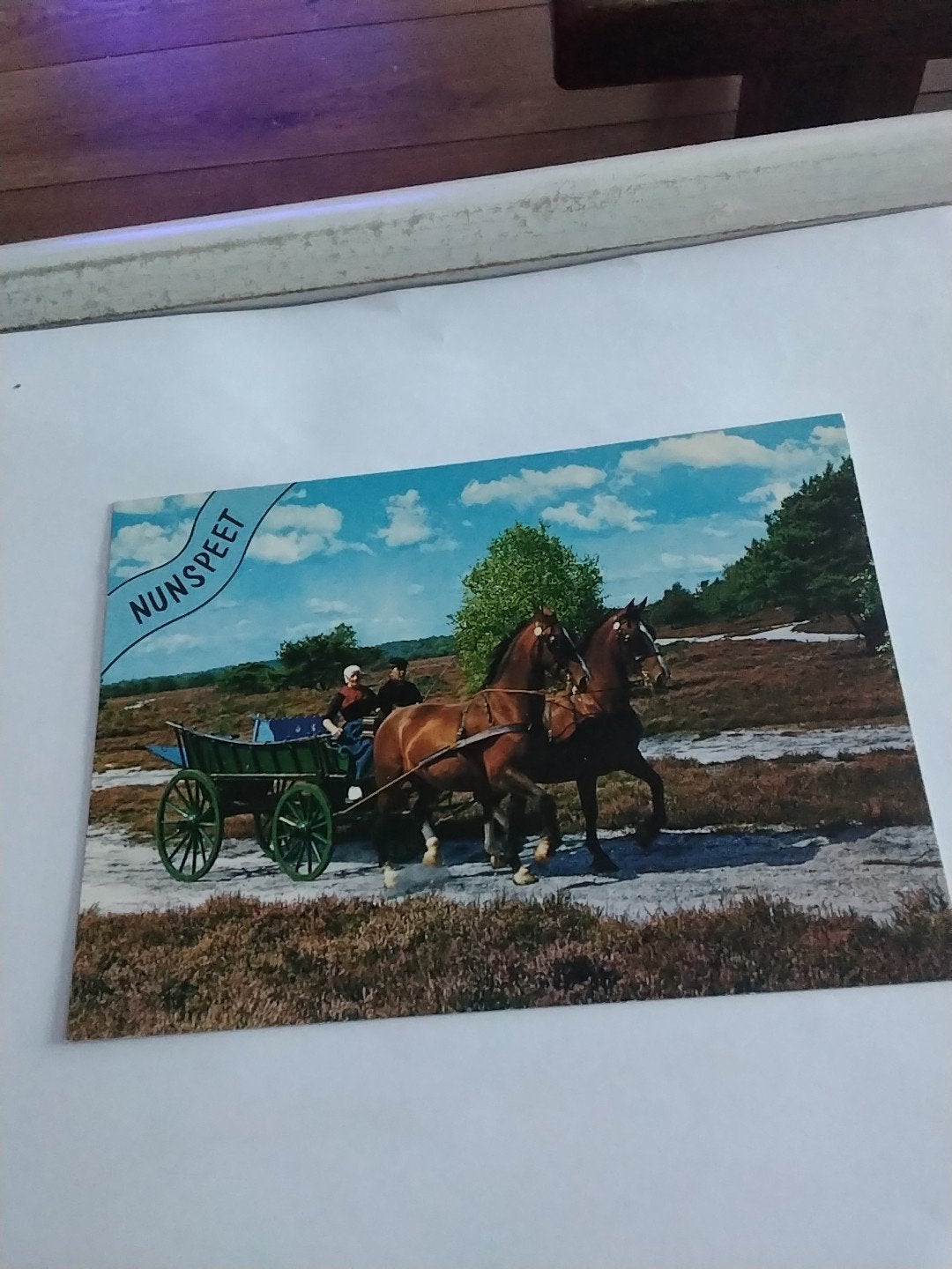 Ansichtkaart Nunspeet met paard en wagen, Ophalen of Verzenden