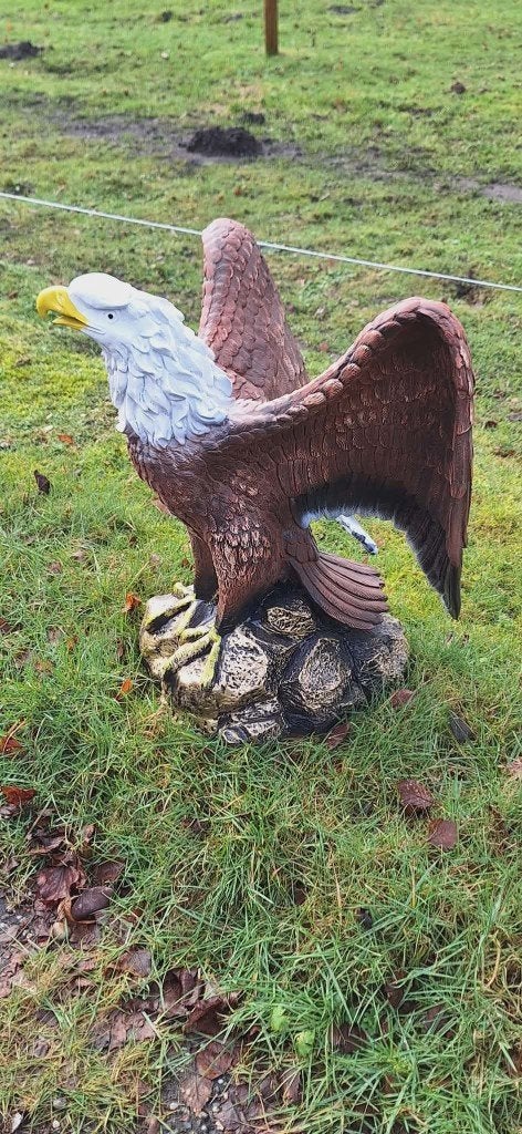 Pracht en groot kunststof beeld van een Arend, Bird, Eagle., Verzamelen, Ophalen, Nieuw, Dier