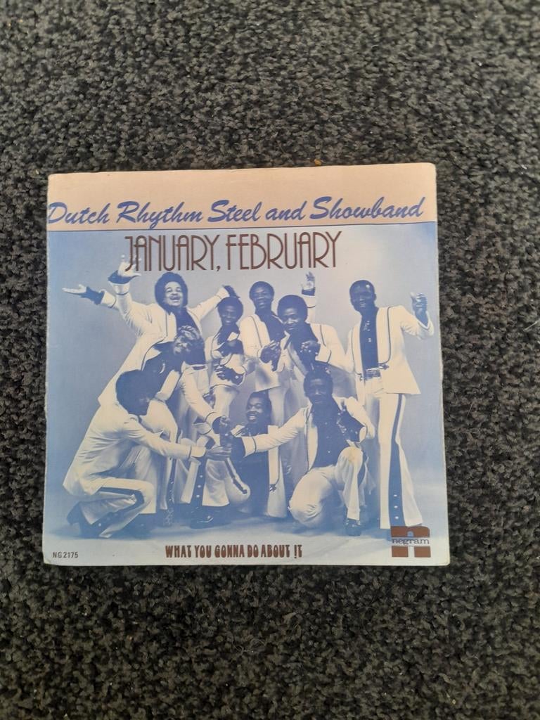 Dutch Rhythm Steel and Showband, Ophalen of Verzenden, Gebruikt, Pop