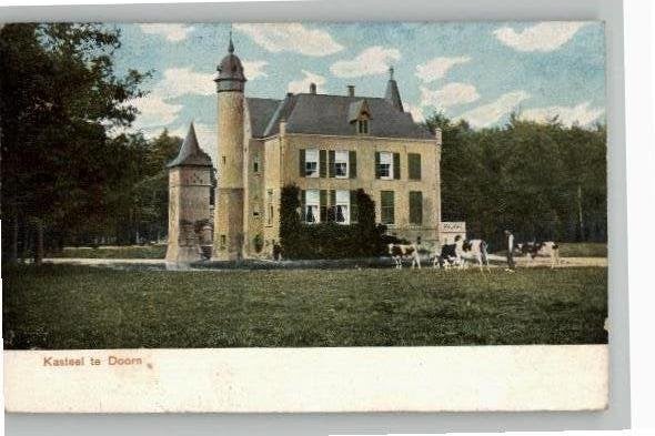 Kasteel te Doorn+koeien st 1903