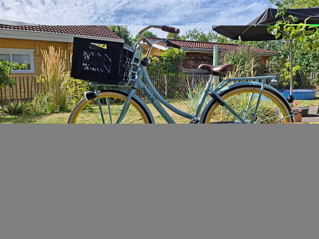 Gazelle puur NL transportfiets, Fietsen en Brommers, Ophalen, Terugtraprem, Gebruikt, (Extra) lage instap