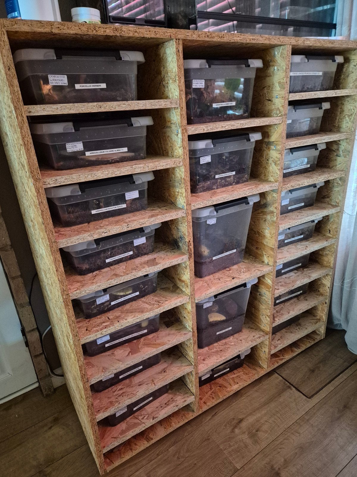 Complete isopod kweken., Dieren en Toebehoren