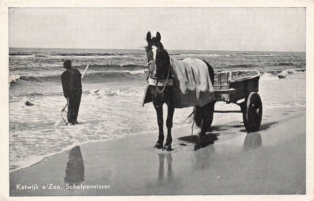 703-474-037 Katwijk aan Zee Schelpenvisser, Verzenden, Voor 1920, Zuid-Holland