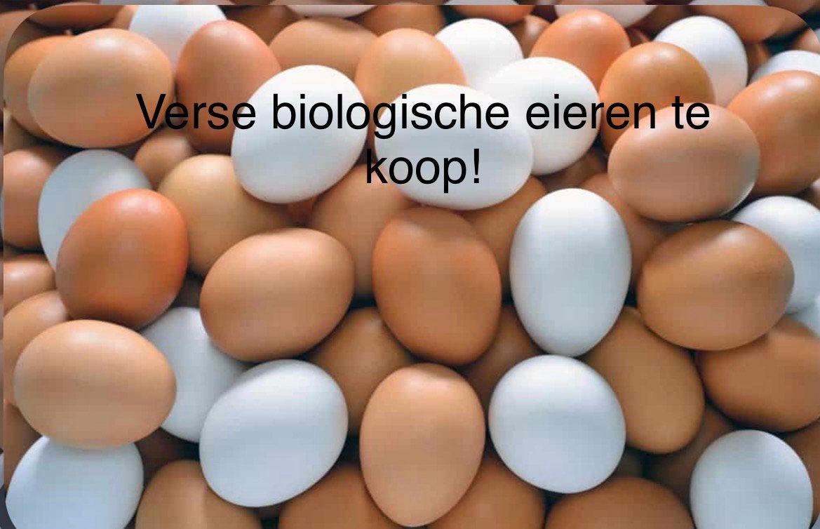 Verse biologische eieren te koop!, Ophalen
