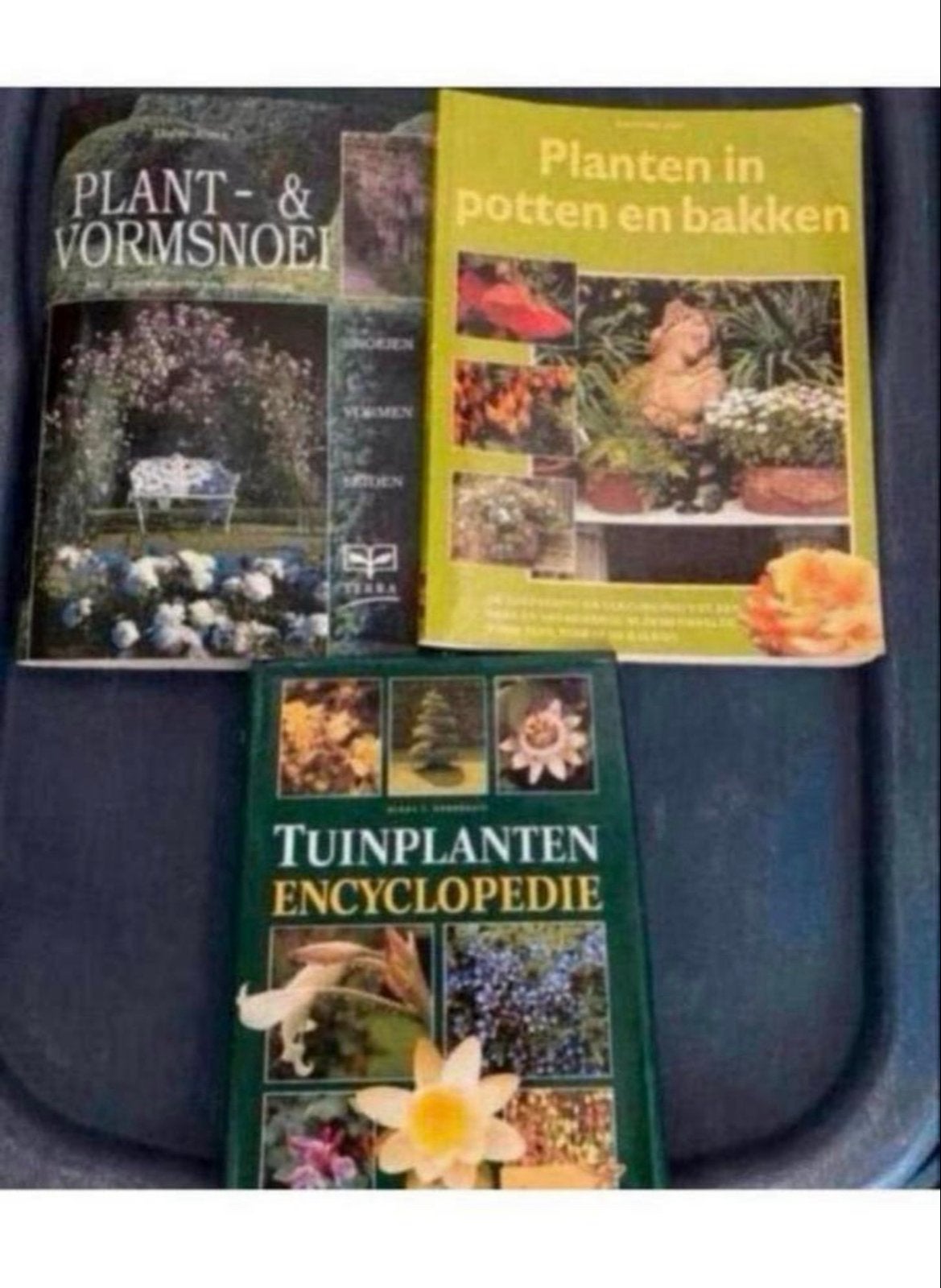 Tuinboeken: Encyclopedie, Planten & Vormsnoei, Ophalen of Verzenden, Gelezen, Tuinieren en Tuinplanten