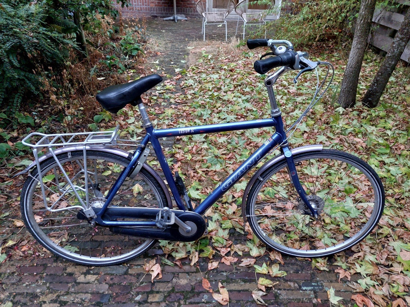 Giant fiets, Fietsen en Brommers, Fietsen | Dames | Damesfietsen, Ophalen, Velgrem, Versnellingen, Giant