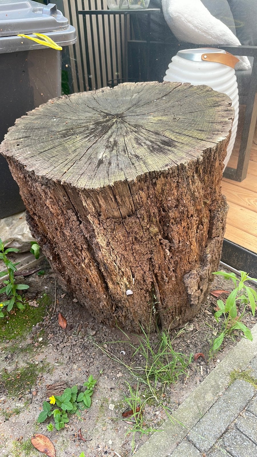 Boomstam, Tuin en Terras, Ophalen, Zo goed als nieuw